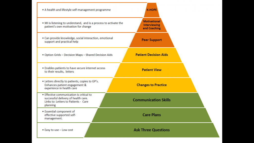 Pyramid - Chronic Kidney Disease